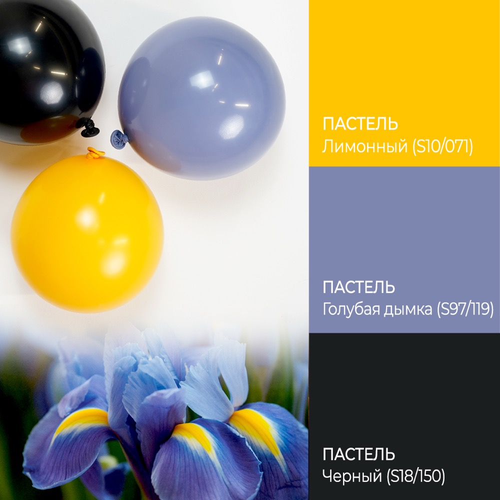512 (10''/25 см), Голубая дымка, пастель ретро, 100 шт. 3